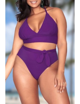 Lovely V Neck Purple Plus Size Two-piece Swimwear